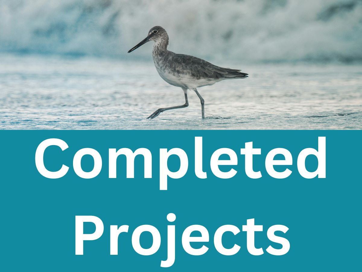 Completed Projects